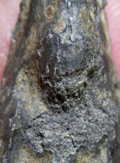 พระร่วงนั่ง เนื้อชินเงิน จ.สุโขทัย มาพร้อมบัตรรับรอง