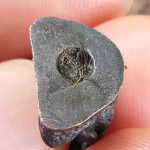 รูปหล่อหลวงปู่นาค วัดหนองโป่ง จ.สระบุรี อุดสีผึ้งเกษา