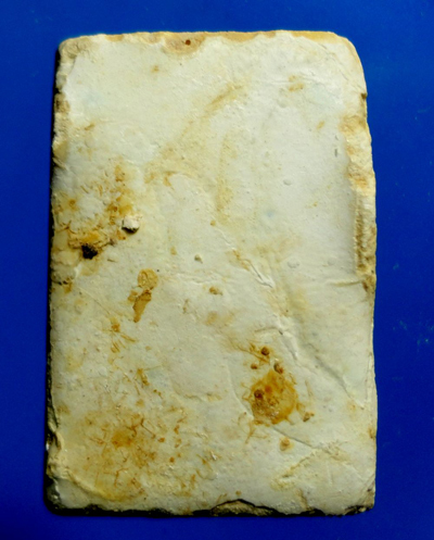 สมเด็จก้นโอ่ง หลวงปู่ดู่ วัดสะแก