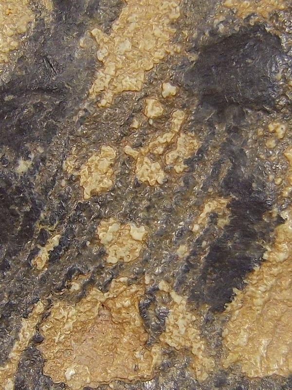 พระยอดขุนพล สนิมแดง กรุปราสาทเมืองสิงห์ จ.กาญจนบุรี