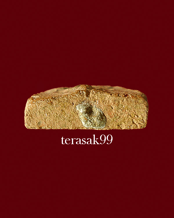 หลวงพ่อผาด กรุวัดดงตาล ขี่สิงห์ สวยผงเดิมๆ (1)