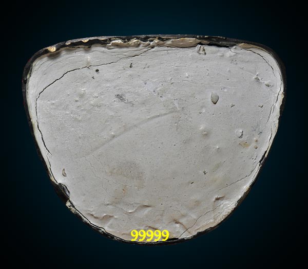 พระบูชา พระปิดตา วัดปรกฯ หลวงพ่อคูณ ปลุกเสก