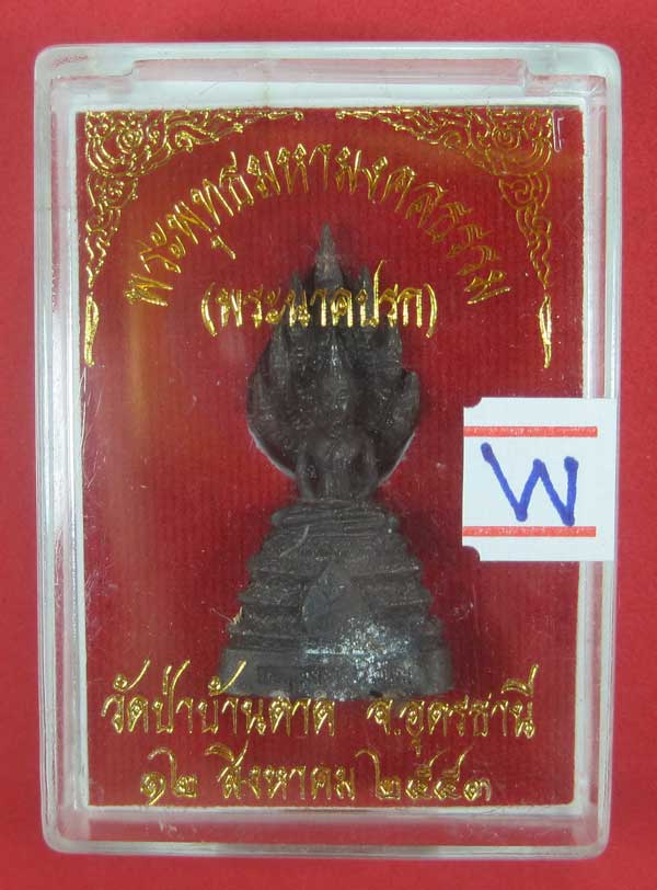 (พระนาคปรก)พระพุทธมหามงคลธรรม วัดป่าบ้านตาด จ.อุดรธานี ปี53