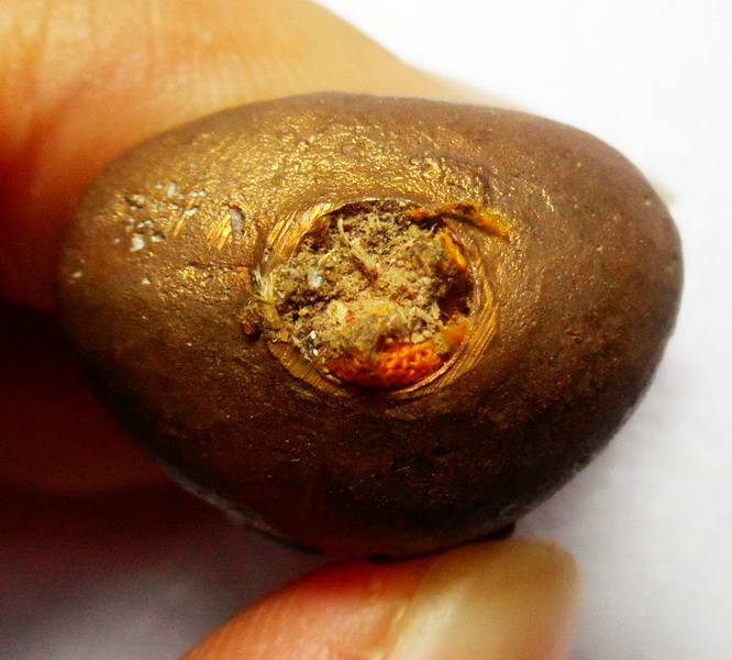 รูปหล่อเบ้าทุบสมเด็จพระสังฆราชปี 53