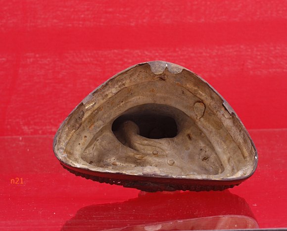 พระบูชาหลวงพ่อปากแดง วัดพราหมณี รุ่น 1 จ.นครนายก