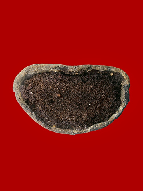 พระรัตนโกสินทร์ เนื้อตะกั่วสนิมแดง ปิดทองเดิมจากกรุครับ