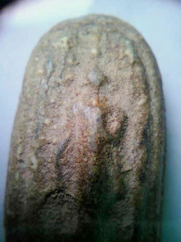 ปิลันทน์เปลวเพลิงเล็ก ไขงาม สมบูรณ์