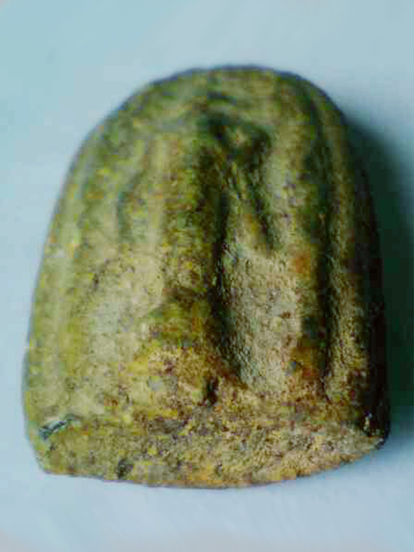 ปิลันทน์เปลวเพลิงเล็ก ไขงาม สมบูรณ์