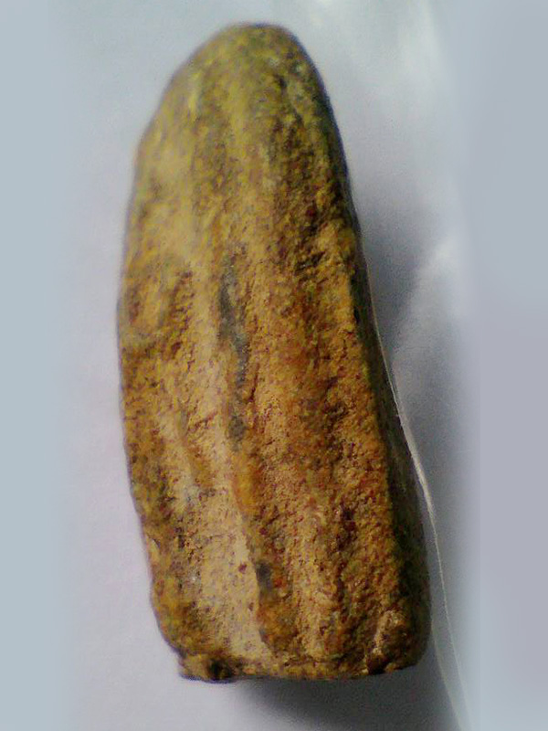 ปิลันทน์เปลวเพลิงเล็ก ไขงาม สมบูรณ์