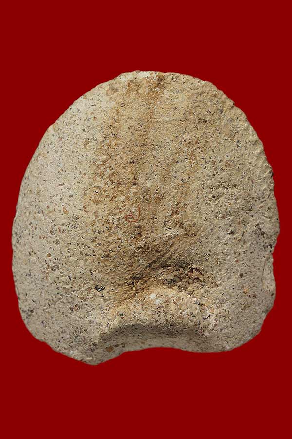 พระกรุวัดใหม่ปากบาง อยุธยา