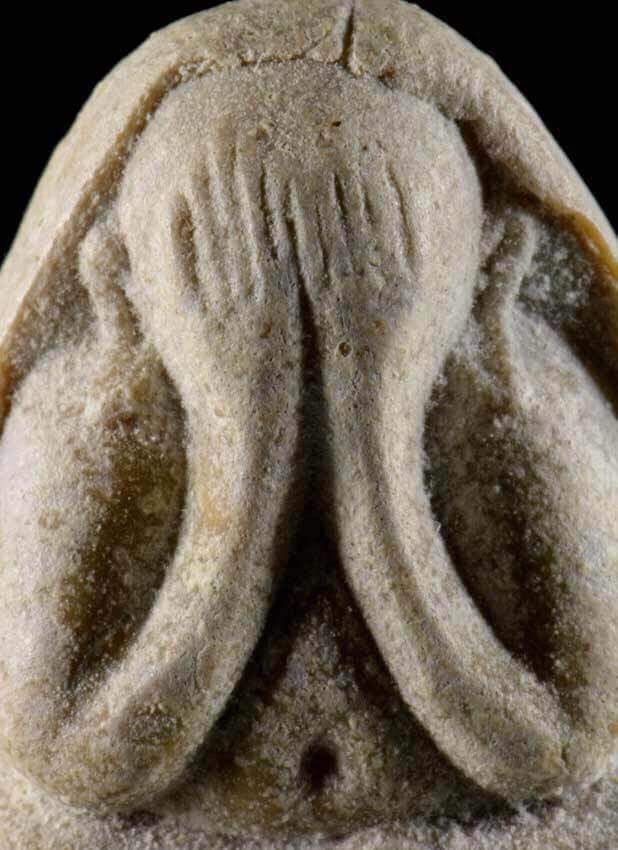 พระปิดตา นะทะนะ เนื้อเกสร