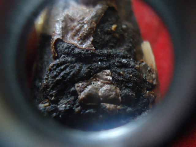 หลวงปู่ทวดปี24 ไม่แพงครับ