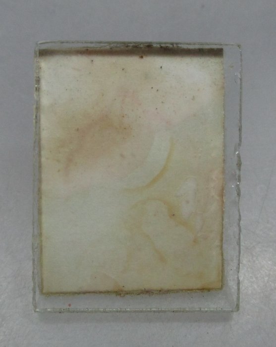 20 บาท รูปถ่ายหลวงพ่อกล่อม วัดโพธิ์ประสิทธิ์ จ อยุธยา