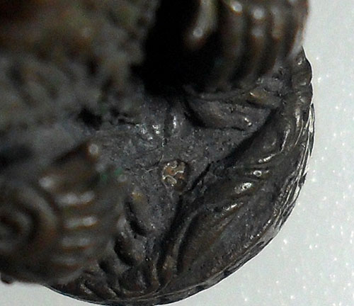 หนุมานมหาปราบ หลวงพ่อสาคร รุ่นแรก ปี52 เนื้อทองแดงเถื่อน ก้นอุดผง โค้ต นะ หมายเลข619 เลขสามหลัก