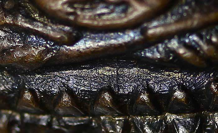 หลวงปู่ทวดเนื้อโลหะ วัดช้างให้ ปี 2524 พิมพ์หน้าเล็ก บล็อคหน้าวงเดือนหลัง 3 จุด