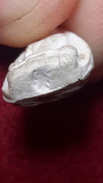 รูปเหมือนใบโพธิ์ พิมพ์เล็ก เจ้าคุณนรฯ.ปี13 รุ่น..150..-