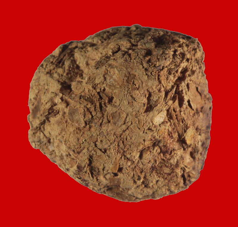 	 ชานหมากชาตรี หลวงพ่อฤาษีลิงดำ วัดท่าซุง