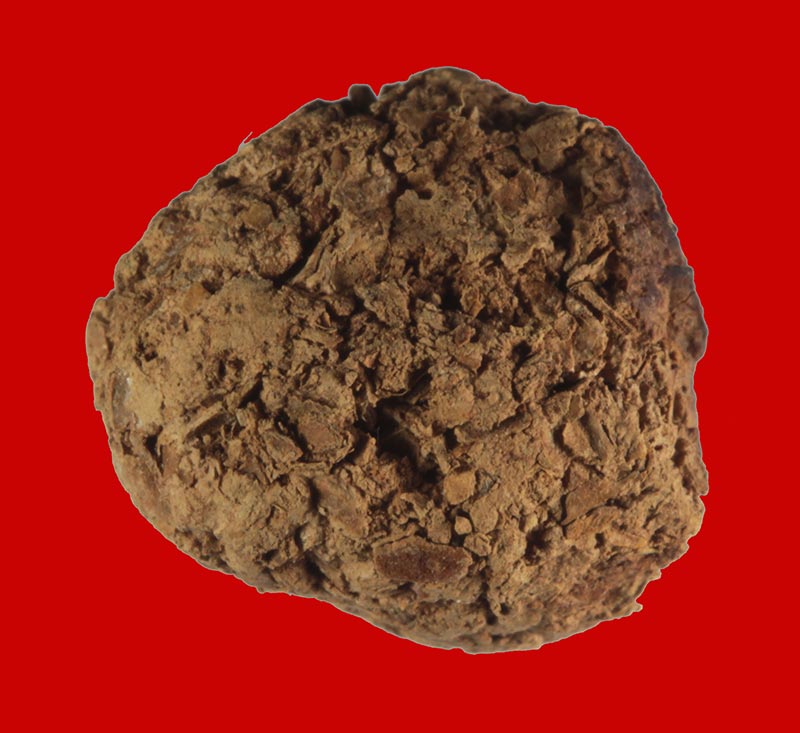 	 ชานหมากชาตรี หลวงพ่อฤาษีลิงดำ วัดท่าซุง