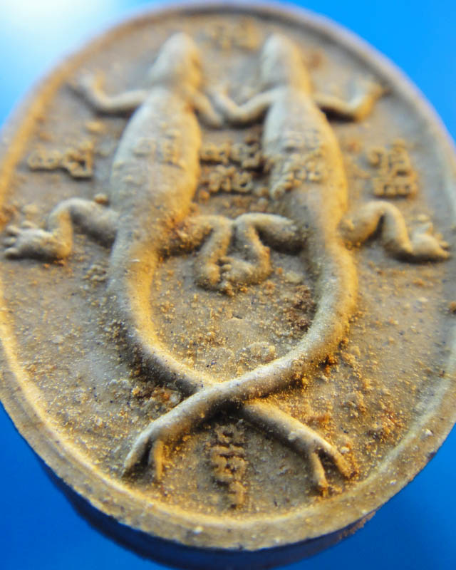 จิ้งจกคู่ หลวงปู่ทิม วัดพระขาว