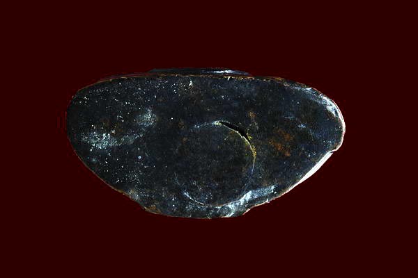 กริ่งโสธร เนื้อทองเหลือง ปี 08 หน้าสรพงษ์