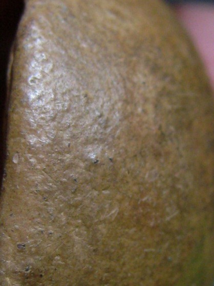 พระงบน้ำอ้อย เนื้อดิน พิมพ์อุกลาง กรุหนองแซง จ.สระบุรี สภาพพอสวย