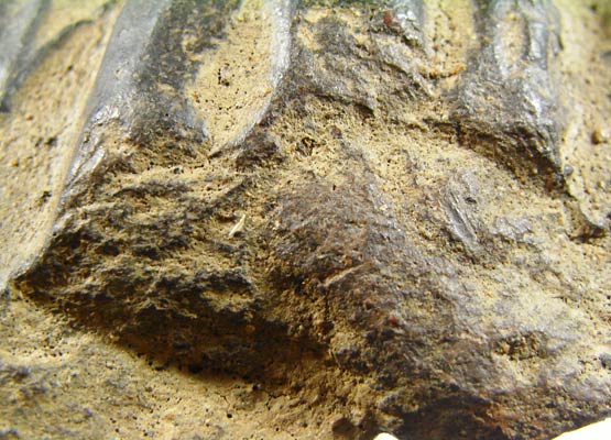 พระกรุพระบรมธาตุนาดูน พิมพ์ปางประทานพร จ.มหาสารคาม