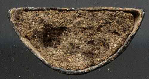 *พระบูชารัตนะฯจิ๋ว ทองเดิม ดินเต็ม*