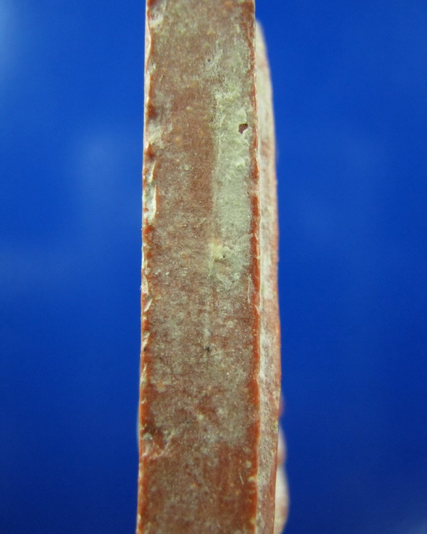 สมเด็จหลวงพ่อพูล วัดไผ่ล้อม นครปฐม