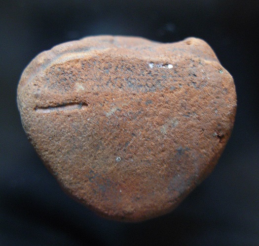 พระสังกัจจายน์ ลพ.กวย วัดโฆษิตาราม (พิเศษ)