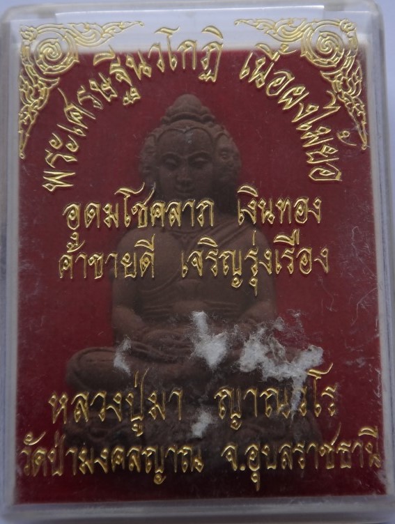 เศรษฐีนวโกญ หลวงปู่มา ญาณวโร วัดป่ามงคลญาณ ผงไม้ยอ เคาะเดียว