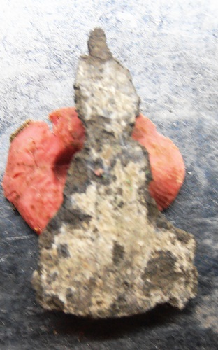 พระท่ากระดานเนื้อชินตระกั่ว กรุวัดเกาะ ครับ