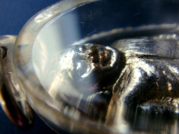 รูปเหมือนหลวงพ่อเงิน พิมพ์ฐานสูง เนื้อทองเหลืองชุบนิเกิล ปี 2515 (วัดท้ายน้ำสร้าง)