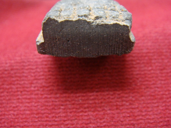 หลวงปู่ทวด พระเจ้าห้าพระองค์ บัวแบน ขาขีด หลวงปู่หมุน