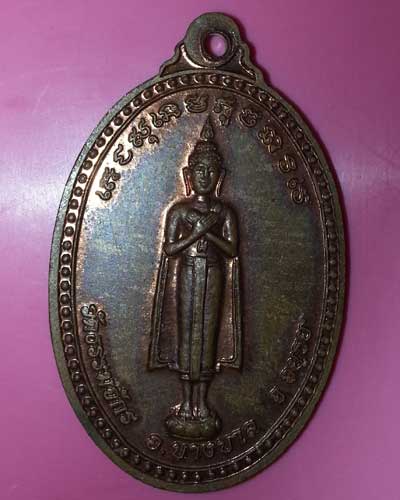 เหรียญหลวงปู่ทิม วัดพระขาว จ.อยุธยา ปี 50