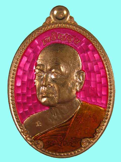 เหรียญเจริญสุข หลวงพ่อขันตี ญาณวโร วัดป่าม่วงไข่ ทองแดงหลังแบบ ลงยาชมพู #90