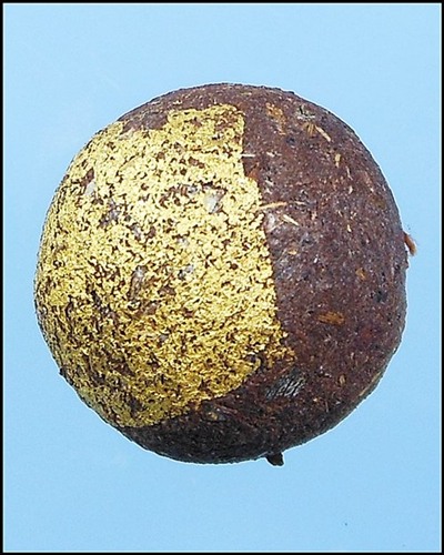 ลูกอมชานหมาก หลวงปู่หมุนยุคแรก วัดป่าหนองหล่ม เลี่ยมทองสวยๆ 