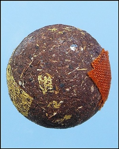 ลูกอมชานหมาก หลวงปู่หมุนยุคแรก วัดป่าหนองหล่ม เลี่ยมทองสวยๆ 