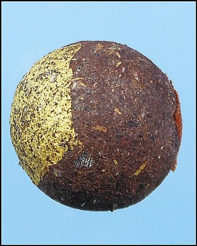 ลูกอมชานหมาก หลวงปู่หมุนยุคแรก วัดป่าหนองหล่ม เลี่ยมทองสวยๆ 