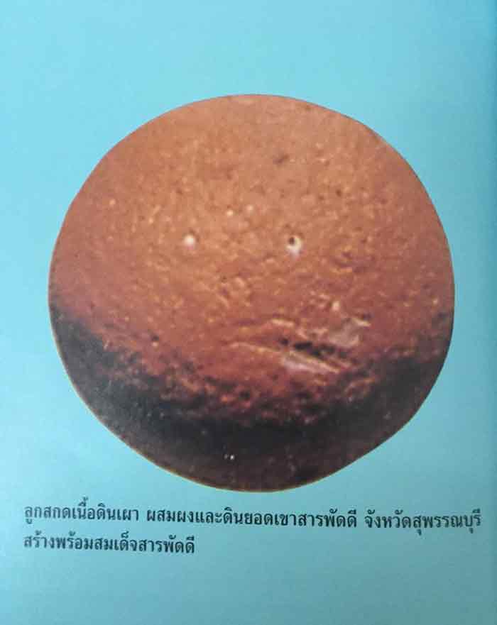 ลูกสกดสารพัดดี