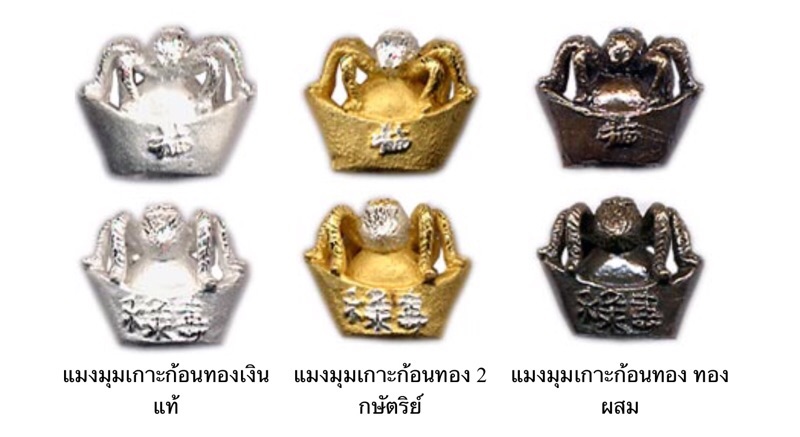 แมงมุมเรียกทรัพย์เกาะก้อนทอง หลวงปู่สุภา กันตสีโล