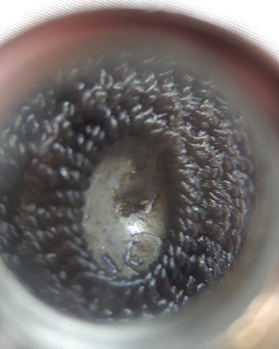 เบี้ยกัน รุ่น2 ปี54 หลวงพ่อสาคร วัดหนองกรับ สร้าง 9000ตัว//2