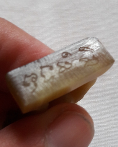 แพะ เขาควายเผือก หลวงพ่อสิน วัดละหารใหญ่ ระยอง 