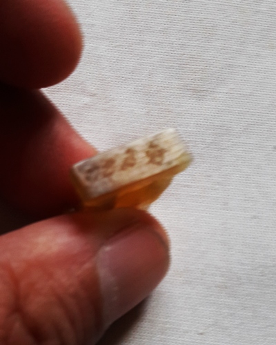 แพะ เขาควายเผือก หลวงพ่อสิน วัดละหารใหญ่ ระยอง 