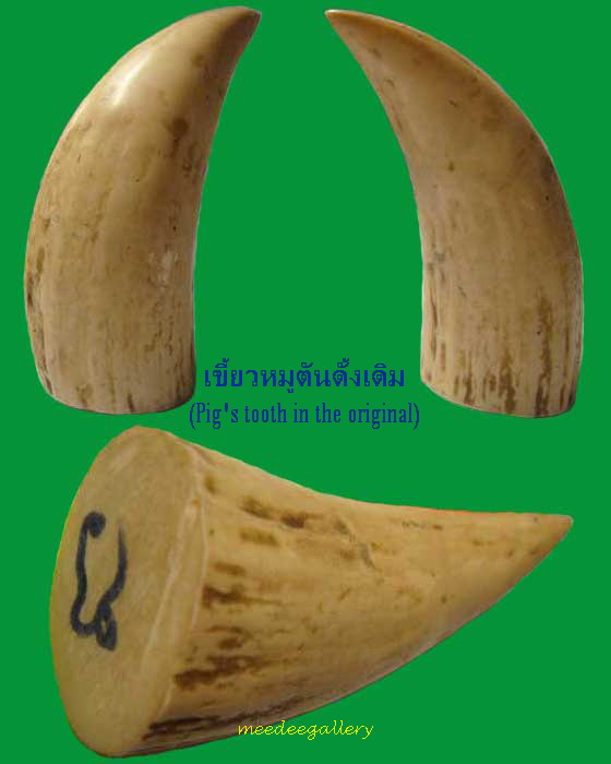 เขี้ยวหมูตันแท้ 100% แบ่งผ่าเลี่ยมเงิน