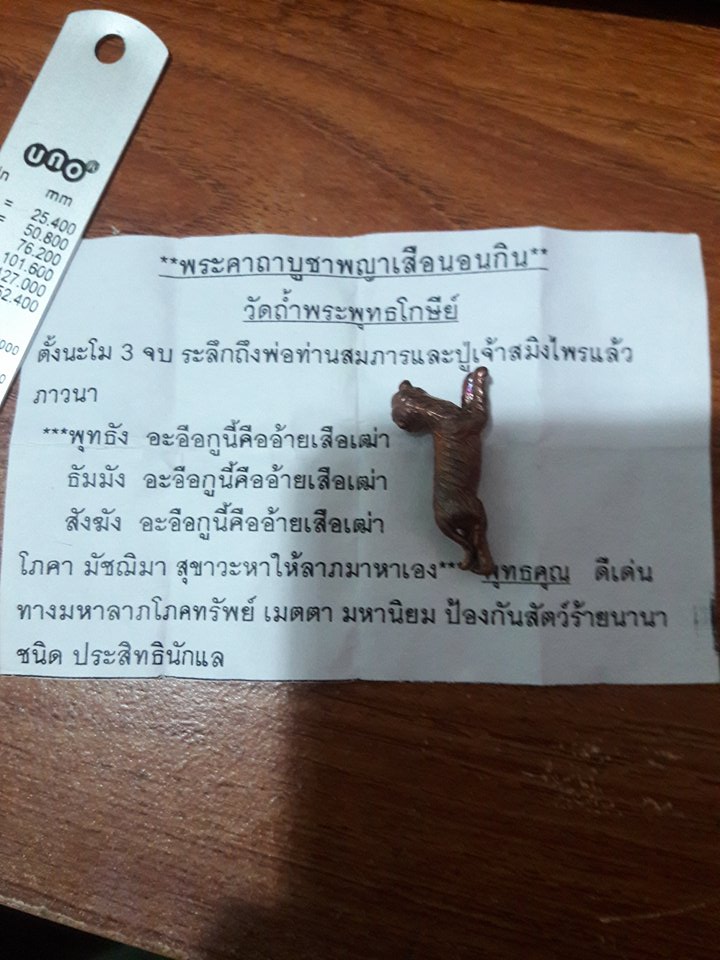 เสือนอนกิน  อาจารย์ประสูติ วัดในเตา จ. ตรัง สวยกิ๊บ พร้อมใบครับ
