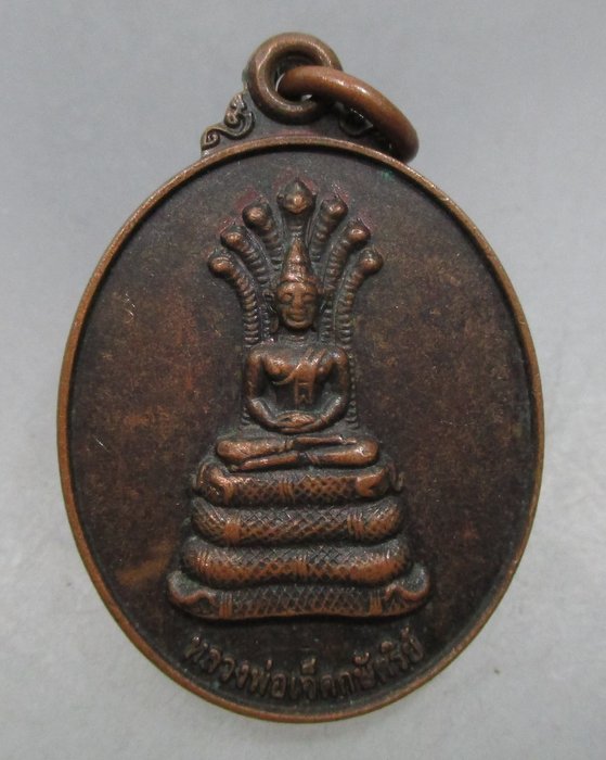 20 บาท เหรียญหลวงพ่อเจ็ดกษัตริย์  วัดบ้านหนองแสง จ ยโสธร รุ่นกฐินทาน