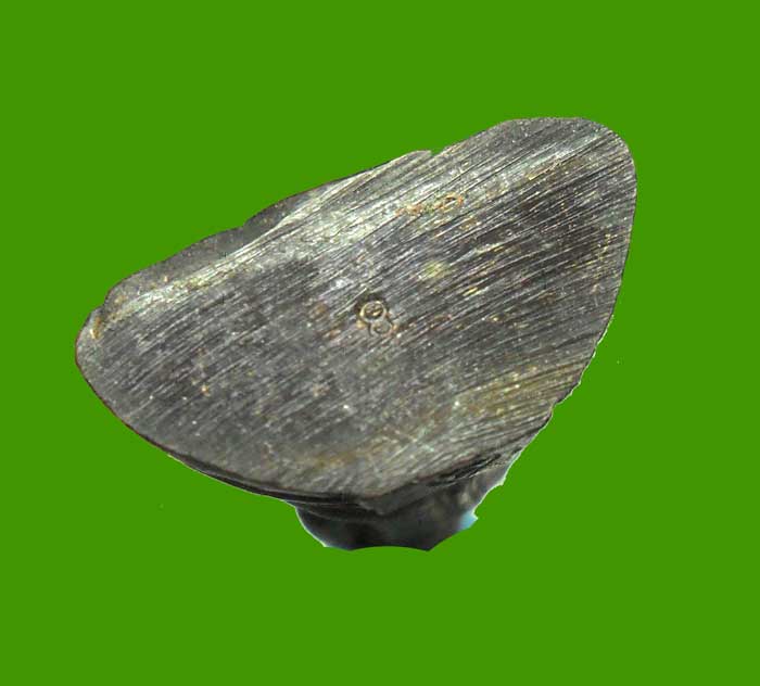 รูปหล่อ หลวงพ่อโสธร หล่อสนามหลวง พ.ศ.2549