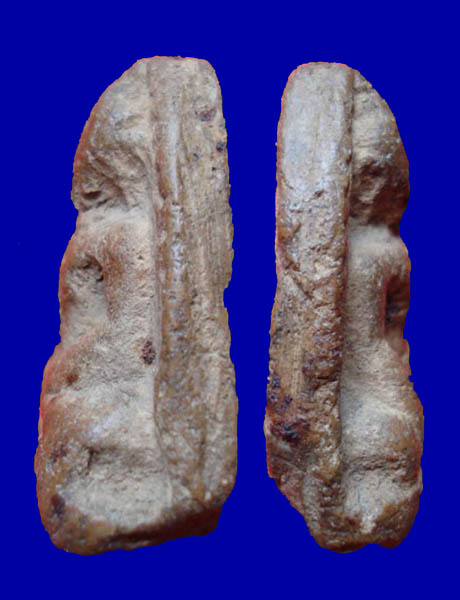 หลวงพ่อโต กรุบางกระทิง อยุธยา