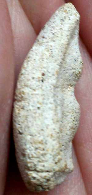 *พระกรุวัดใหม่ปากบาง อยุธยา พิมพ์กลีบบัวอกนูน*