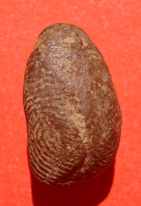 พระเม็ดน้อยหน่า เนื้อดิน สุโขทัย ติดรางวัล